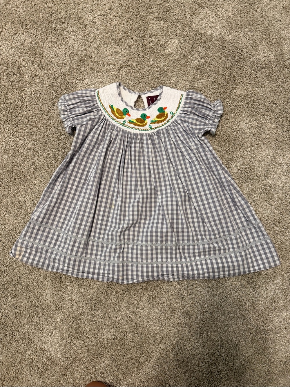 Cactus Blue Gingham Dress with Smocked Duck Yoke